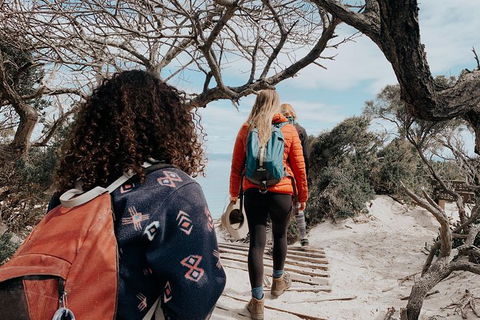 Freycinet Walking Tour - Accommodation Bookings 6