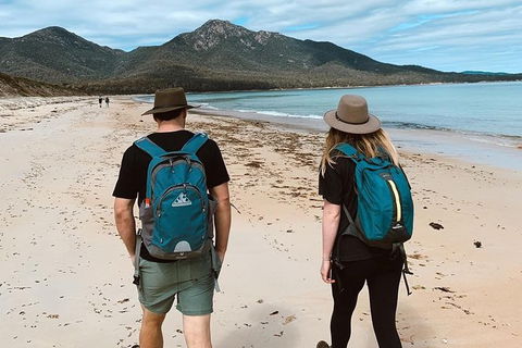 Freycinet Walking Tour - Accommodation Bookings 7