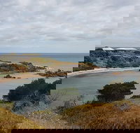 Shore Excursion Coast Caves and Wildlife Park - 8 hour tour - Accommodation Bookings