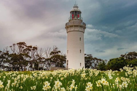 Table Cape Lighthouse Tours - Accommodation Bookings 7