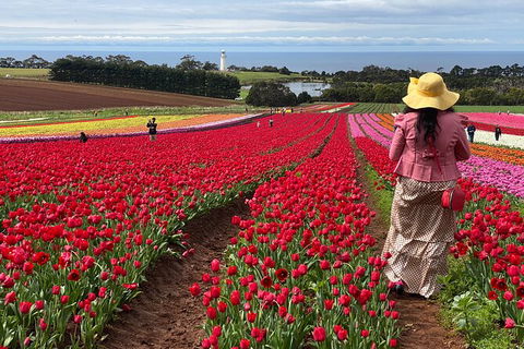 Table Cape Lighthouse Tours - Accommodation Bookings 0