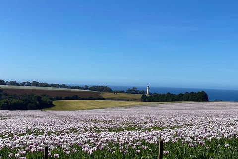 Table Cape Lighthouse Tours - Accommodation Bookings 8