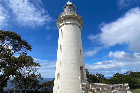 Table Cape Lighthouse Tours - Accommodation Bookings 4