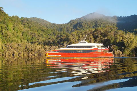 Afternoon Gordon River Dinner Cruise - Departing 3pm - Accommodation Bookings 1