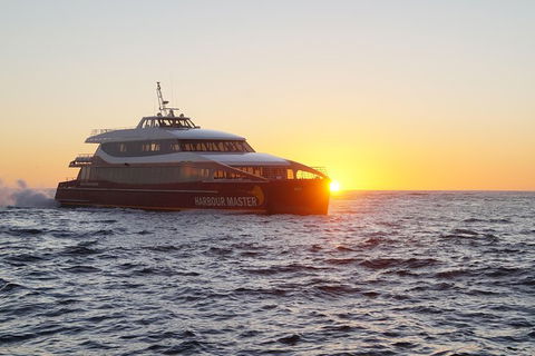 Afternoon Gordon River Dinner Cruise - Departing 3pm - Accommodation Bookings 0