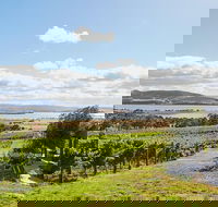 Launceston Wine  Sightseeing Tours - Accommodation Bookings