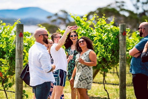 Hobart: Highlights Of Tasmanian Wine Full Day Tour - Accommodation Bookings 3