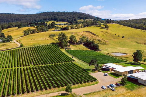 Hobart: Highlights Of Tasmanian Wine Full Day Tour - Accommodation Bookings 4