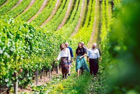 Hobart: Highlights Of Tasmanian Wine Full Day Tour - Accommodation Bookings 0