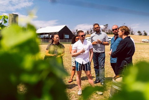 Hobart: Highlights Of Tasmanian Wine Full Day Tour - Accommodation Bookings 2