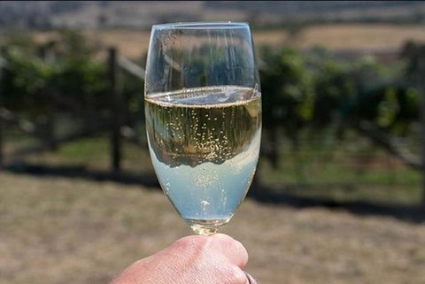Highlights Of Hobart: Gourmet Food Tour - Accommodation Bookings 0