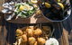 Highlights Of Hobart: Gourmet Food Tour - thumb 2