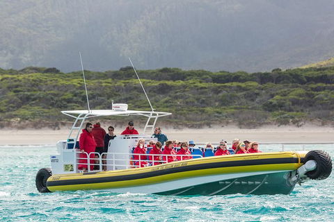 Wilsons Promontory Wilderness Cruise From Tidal River - Accommodation Bookings 2