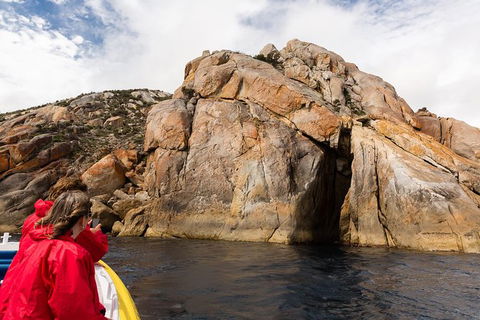 Wilsons Promontory Wilderness Cruise From Tidal River - Accommodation Bookings 4