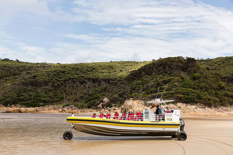 Wilsons Promontory Wilderness Cruise From Tidal River - Accommodation Bookings 1