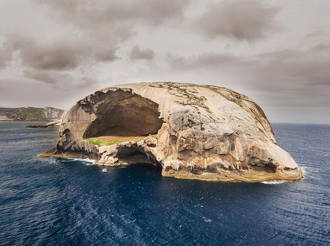 Wilsons Promontory Wilderness Cruise From Tidal River - Accommodation Bookings 7