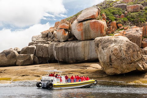 Wilsons Promontory Wilderness Cruise From Tidal River - Accommodation Bookings 5