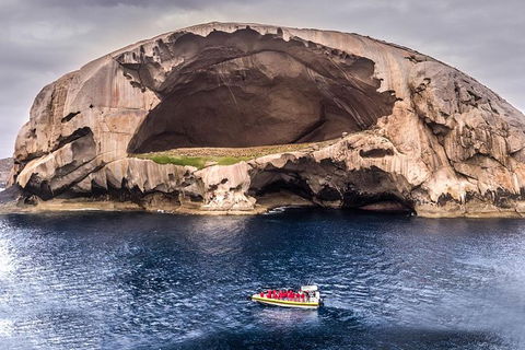 Wilsons Promontory Wilderness Cruise From Tidal River - Accommodation Bookings 0