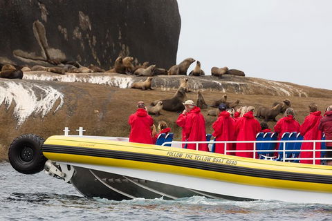 Wilsons Promontory Wilderness Cruise From Tidal River - Accommodation Bookings 3