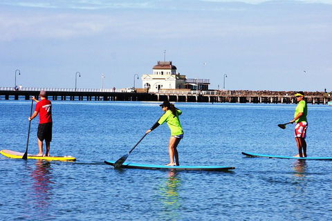 Private Stand-Up Paddle Board Lesson At St Kilda - Accommodation Bookings 0