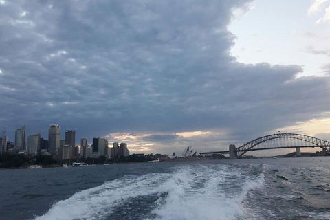 Sydney&Melbourne City Lovers- 2 Day Combo Private Tour! - Accommodation Bookings 1