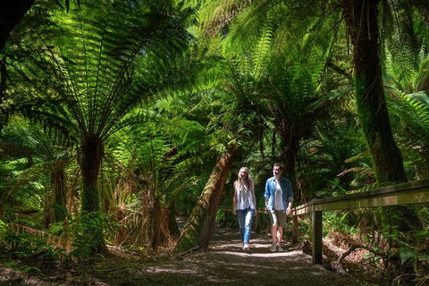 The Great Ocean Road 1 Day Private Sunset Tour - Accommodation Bookings 1