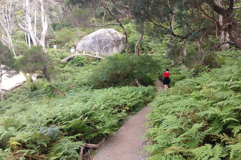 Wilsons Promontory Brainstorming Escape - Accommodation Bookings 2