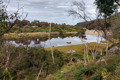 Wilsons Promontory Brainstorming Escape - Accommodation Bookings 9