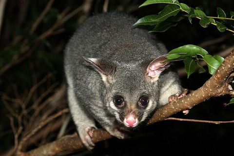 Wilsons Promontory Brainstorming Escape - Accommodation Bookings 3