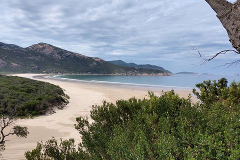 Wilsons Promontory Brainstorming Escape - Accommodation Bookings 1