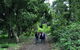 Alices Journeys Guided Walking Tours Of Daylesford - thumb 5
