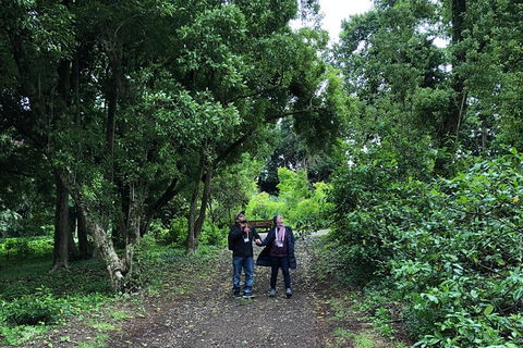Alices Journeys Guided Walking Tours Of Daylesford - Accommodation Bookings 5