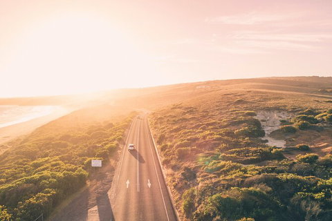 LGBT+ Friendly 2 Day Private Great Ocean Road Tour - Accommodation Bookings 1