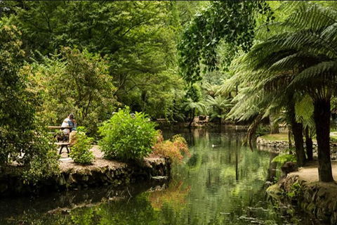 Discover Tour: Dandenong Ranges & William Ricketts Sanctuary - Accommodation Bookings 3