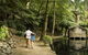 Discover Tour: Dandenong Ranges & William Ricketts Sanctuary - thumb 4