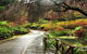 Discover Tour: Dandenong Ranges & William Ricketts Sanctuary - thumb 5