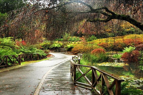 Discover Tour: Dandenong Ranges & William Ricketts Sanctuary - Accommodation Bookings 5