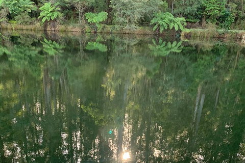 Hiking Tour To Aqueduct And Warburton Valley Lookout - Accommodation Bookings 2