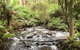Private Aqueduct To California Redwoods Hiking Tour - thumb 3