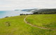 Walk With Wildlife: Guided Tour In Great Ocean Road - thumb 3