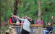 Walk With Wildlife: Guided Tour In Great Ocean Road - thumb 0