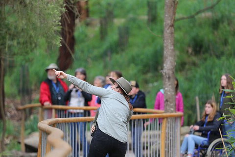 Walk With Wildlife: Guided Tour In Great Ocean Road - Accommodation Bookings 0