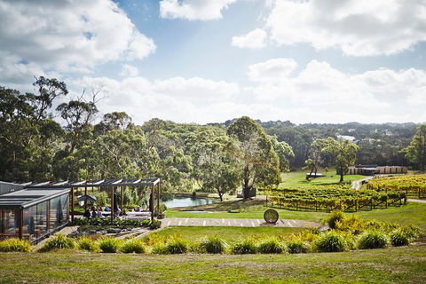 Mornington Peninsula 2-6 Guests Lunch, Wine And Pt Leo Estate Art Walk - Accommodation Bookings 2