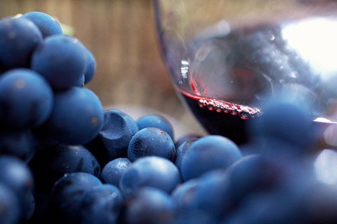 Mornington Peninsula Premium 2-6 Guests Lunch At Merricks General Wine Store - Accommodation Bookings 7