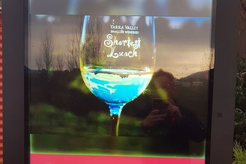 Yarra Valley Wine Tasting Day Tour From Melbourne - Accommodation Bookings 4