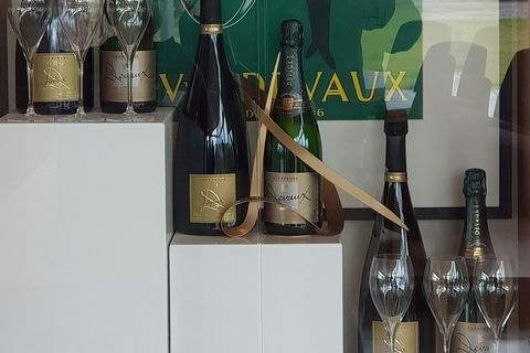 Yarra Valley Wine Tasting Day Tour From Melbourne - Accommodation Bookings 2