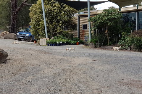 Yarra Valley Wineries And Rayners Orchard Tour From Melbourne - Accommodation Bookings 24