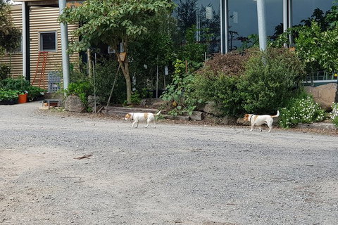 Yarra Valley Wineries And Rayners Orchard Tour From Melbourne - Accommodation Bookings 23