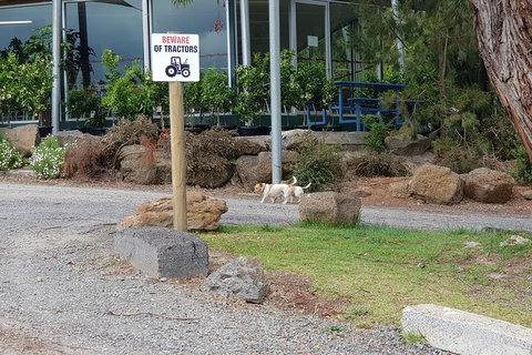 Yarra Valley Wineries And Rayners Orchard Tour From Melbourne - Accommodation Bookings 1