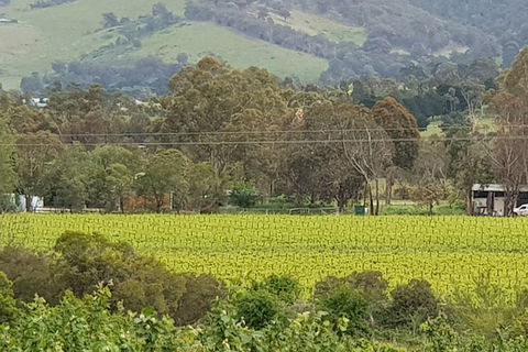 Day Tour Of Yarra Valley Puffing Billy And Rayners Orchard - Accommodation Bookings 44